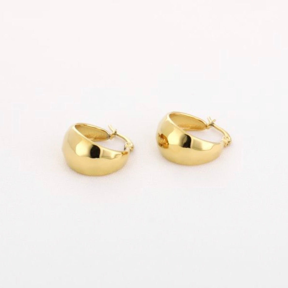 Small Cute Hoops Earrings Gold